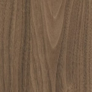 Оттенок дерева вставки шкафа